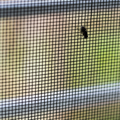 Fly Screen